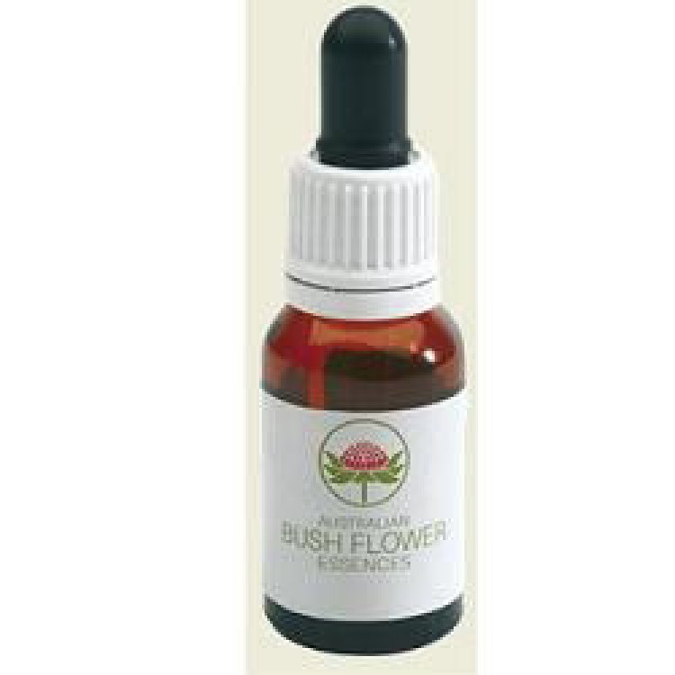 Australian Bush Flower Essences Waratah Essenza Singola Utile in Caso di Disperazione Gocce 15ml