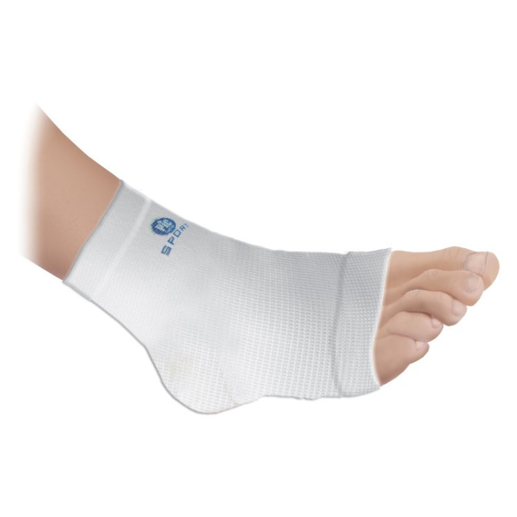 Pic Sport Cavigliera Elastica Mono Estensibile Misura Small