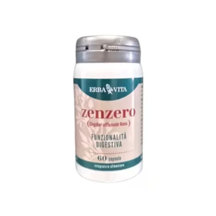 Oti Vita Zenzero Integratore Digestivo per Digestione - 60 Capsule Oti Vita Zenzero Integratore Digestivo per Digestione - 60 Capsule