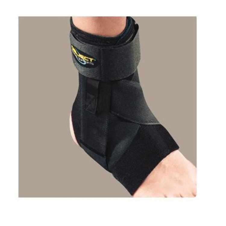 Ro+ten Cavigliera Stabilizzante in Neoprene Taglia M