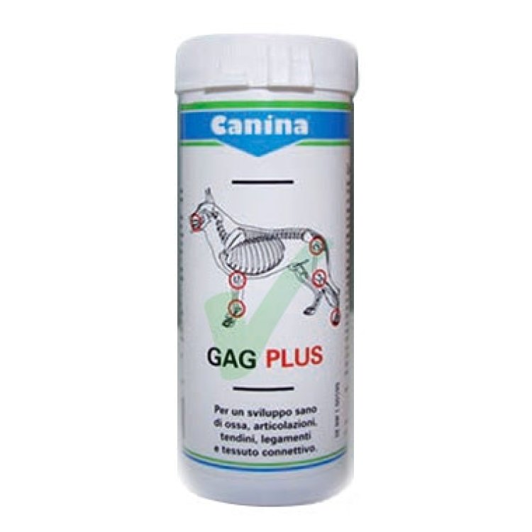 Drn Gag Plus Integratore Cani per Ossa e Articolazioni 60 Tavolette