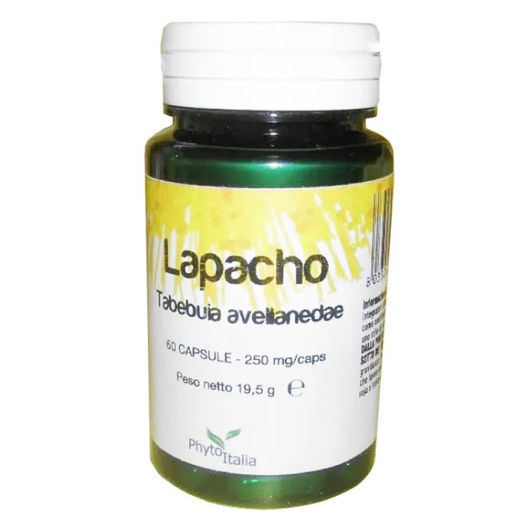 Phytoitalia Lapacho Integratore per Difese Immunitarie in Capsule, 60 pz Phytoitalia Lapacho Integratore per Difese Immunitarie in Capsule, 60 pz