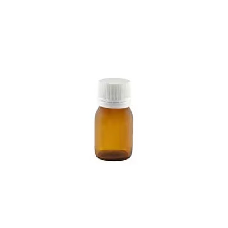 Farmalabor Flacone Vetro con Tappo Sigillo 200 ml 10 Pezzi