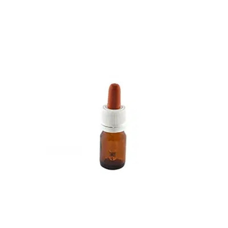 Farmalabor Flacone Vetro con Contagocce a Sigillo 50ml, 10 Pezzi