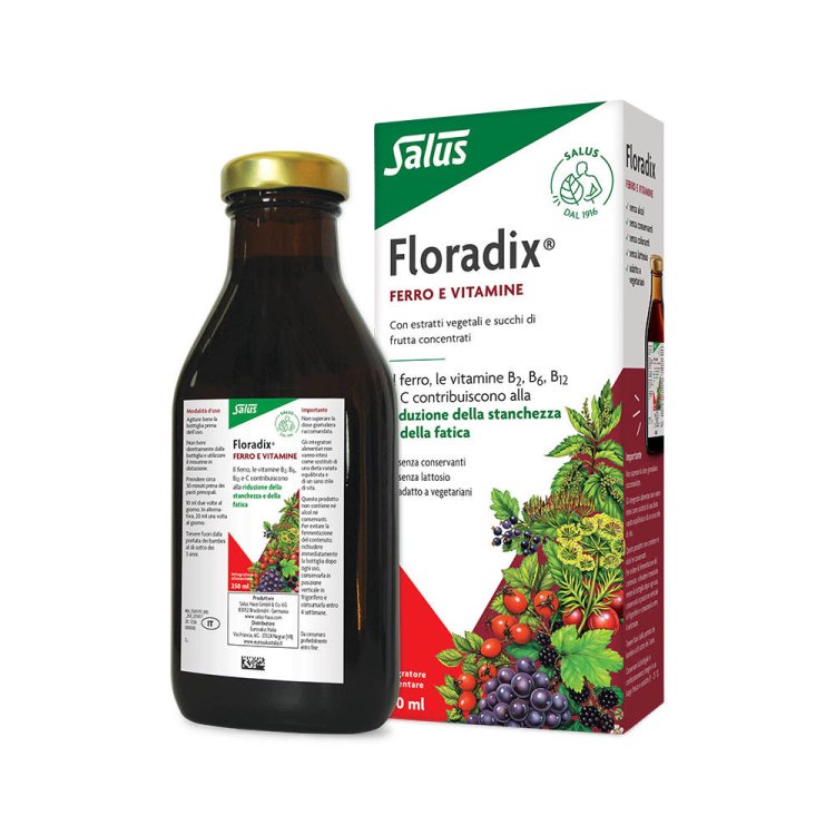 Floradix Integratore Ferro e Vitamine per Stanchezza 250ml Floradix Integratore Ferro e Vitamine per Stanchezza 250ml