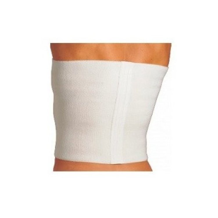 Gibaud Supportflex Cintura Supporto Lombare 32 cm Taglia Z Gibaud Supportflex Cintura Supporto Lombare 32 cm Taglia Z