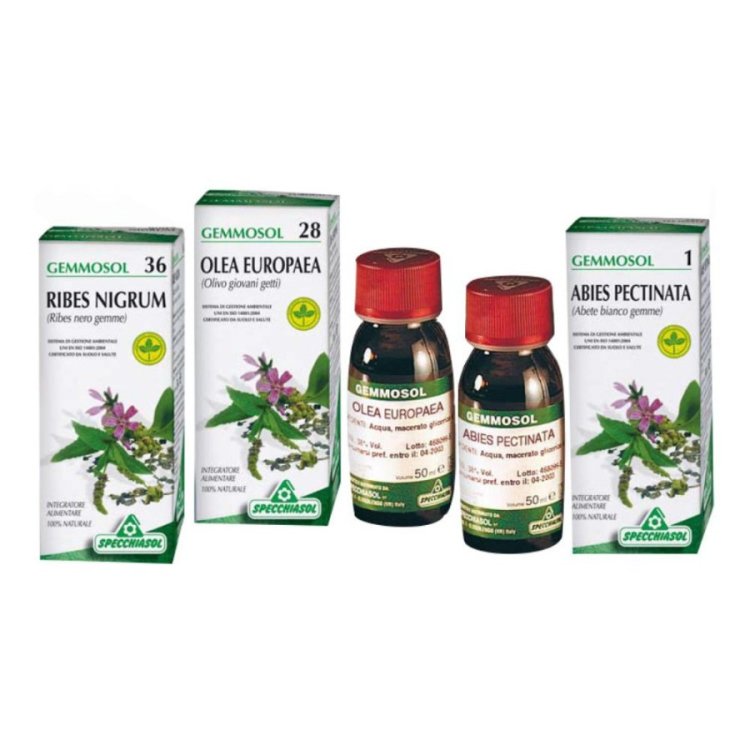Specchiasol Gemmosol 46 Tiglio Argentato Integratore Rilassante 50 ml Specchiasol Gemmosol 46 Tiglio Argentato Integratore Rilassante 50 ml