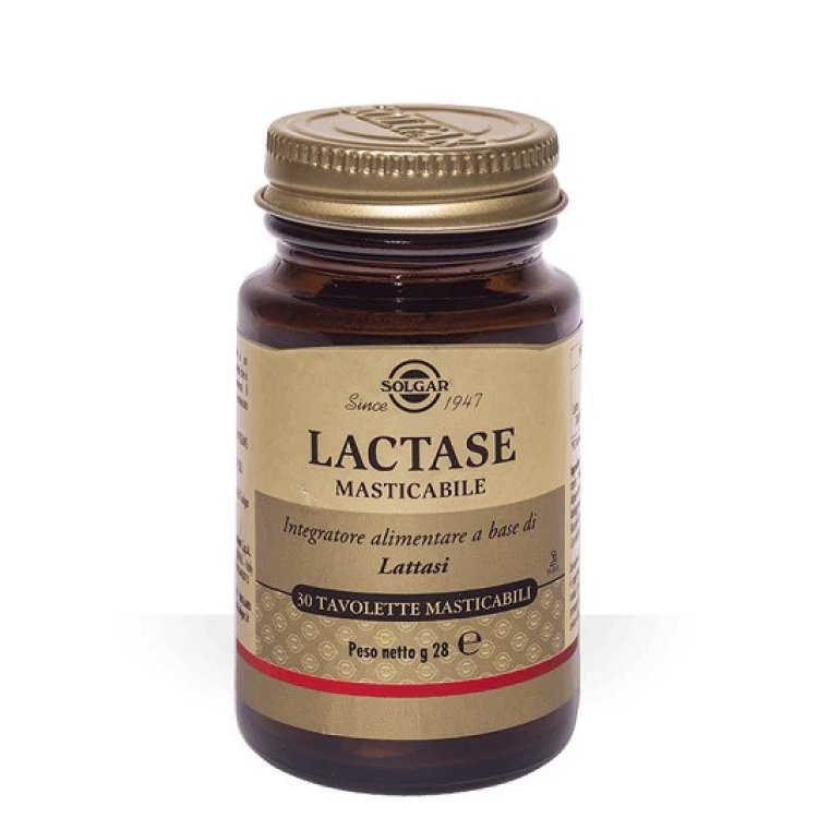 Solgar Lactase Masticabile Integratore per Intolleranza Lattosio 30 Tavolette Solgar Lactase Masticabile Integratore per Intolleranza Lattosio 30 Tavolette
