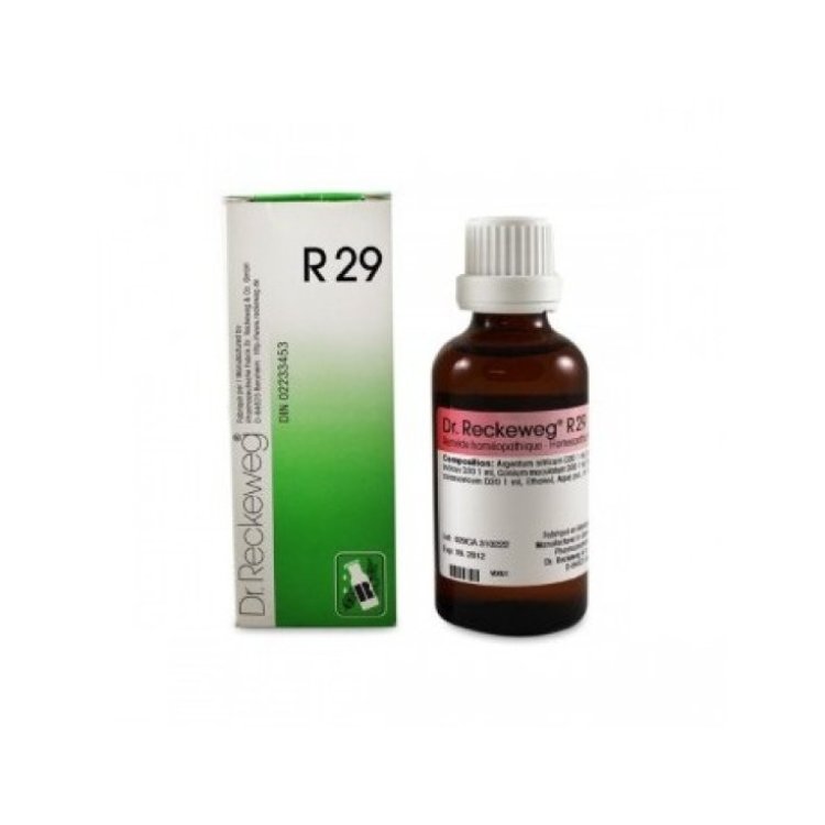 Dr. Reckeweg R29 Gocce Omeopatiche per Vertigini 22ml