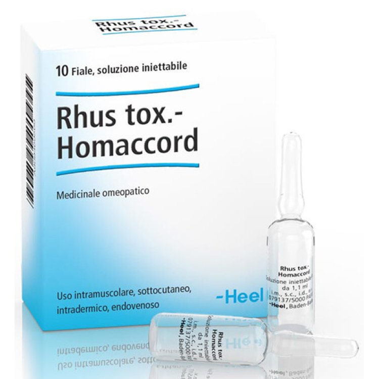 Heel Rhus Tox-Homaccord Medicinale Omeopatico per Nevralgie 10 Fiale