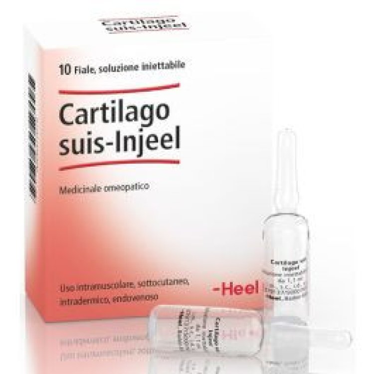 Guna Cartilago Suis Injeel Medicinale Omeopatico per Cartilagine 10 Fiale