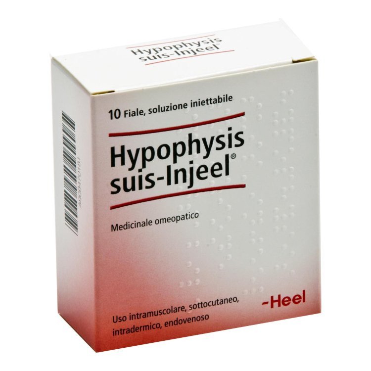 Guna Hypophysis Suis Inj 10F Heel Omeopatico Guna Hypophysis Suis Inj 10F Heel Omeopatico