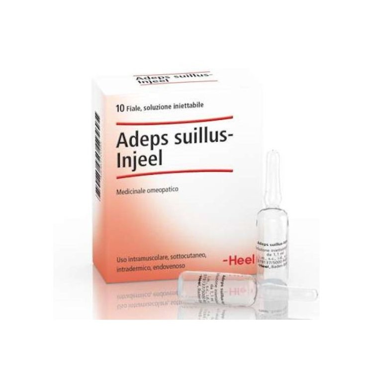 Guna Adeps Suillus Inj Fiale Omeopatiche 10x1.1ml