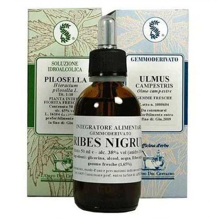 Sarandrea Marco Boswellia Tintura Madre Parafarmaco Soluzione Idroalcolica 100 ml