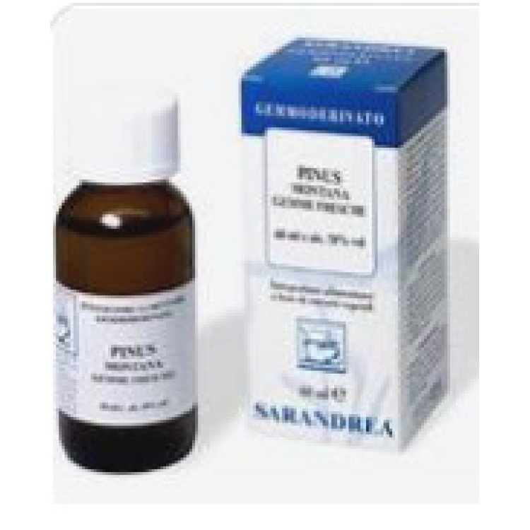 Sarandrea Marco & C. Srl Cedrus Libani Gemoderivato Rigenerante Tessuti Cutanei 100ml