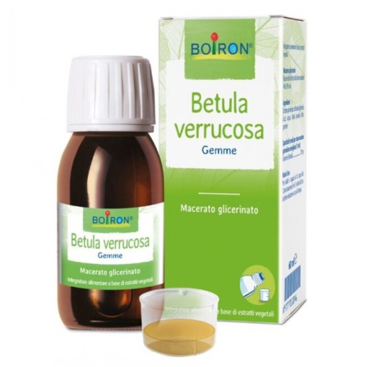 Sarandrea Betulla Verrucosa Gemme Integratore Drenante Diuretico 100ml