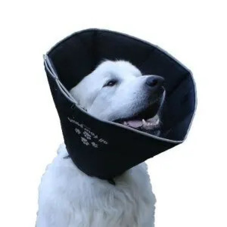 Candioli Comfy Cone Collare Elisabetta XL 30cm Protezione Post-Operatoria Cane/Gatto