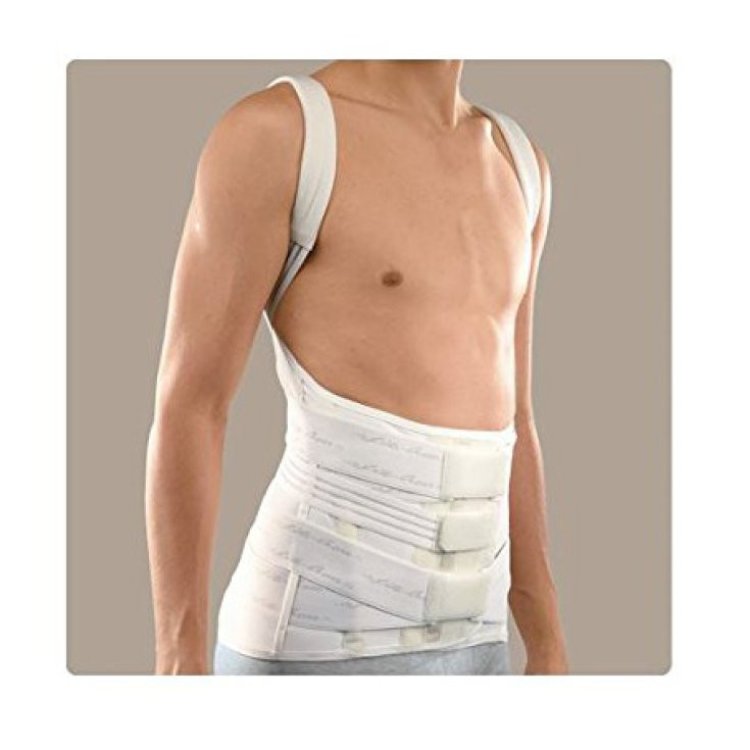 Ro+Ten Lite-Cross Corsetto Dorso Lombare con Spallacci Taglia L