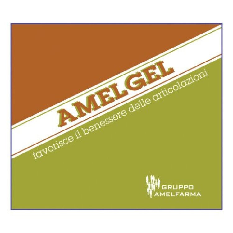 Gruppo Amelfarma Amelgel Gel per Articolazioni 100ml Gruppo Amelfarma Amelgel Gel per Articolazioni 100ml