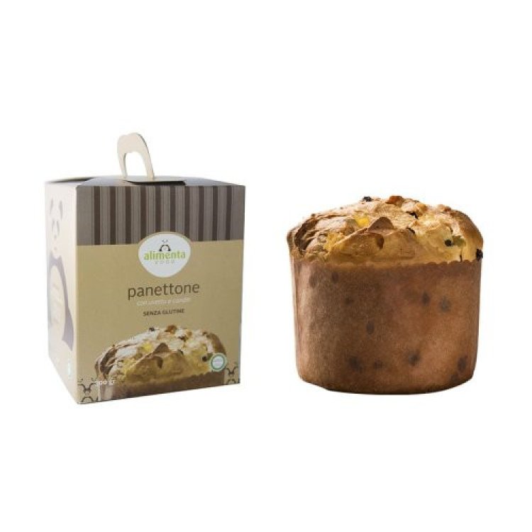 Alimenta 2000 Panettone con Canditi e Uva Sultanina Senza Glutine 300g Alimenta 2000 Panettone con Canditi e Uva Sultanina Senza Glutine 300g