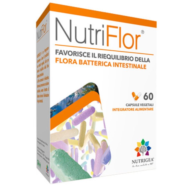Nutricea Research Nutriflor Integratore per Equilibrio Intestinale - 60 Capsule Nutricea Research Nutriflor Integratore per Equilibrio Intestinale - 60 Capsule