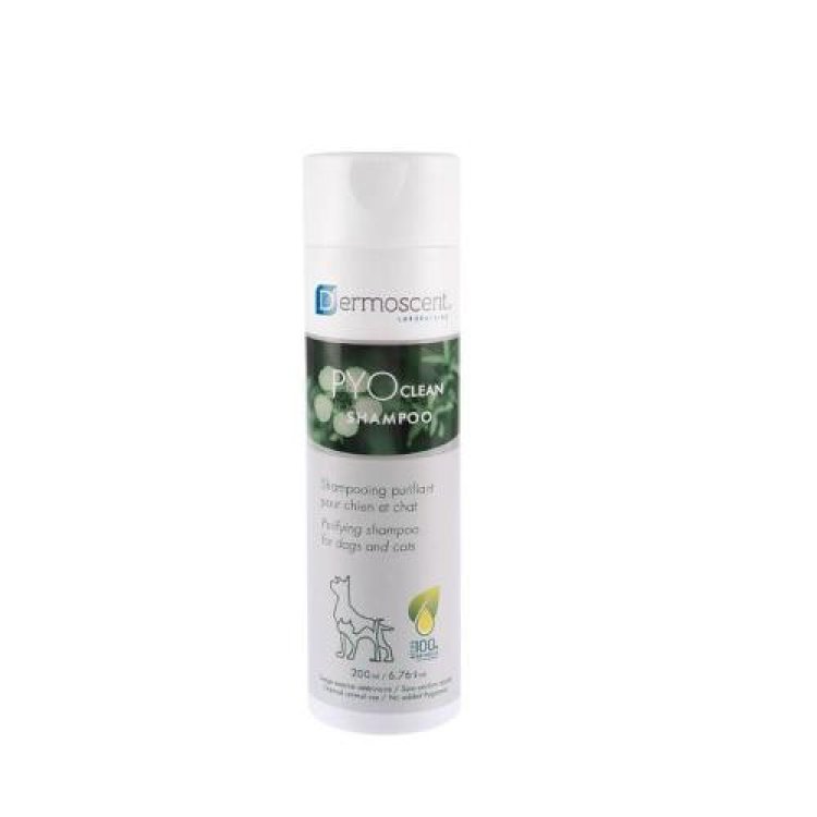 Dermoscent PYOclean Shampoo Purificante Cani e Gatti 200ml