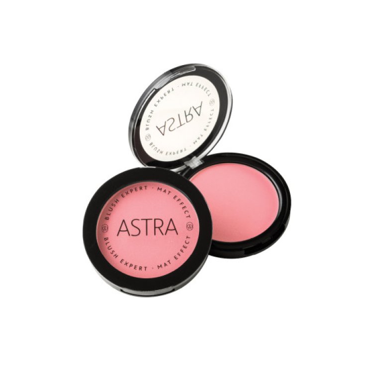 Astra Blush Expert Mat Effect 01 Terra Nude Rose 7g Astra Blush Expert Mat Effect 01 Terra Nude Rose 7g