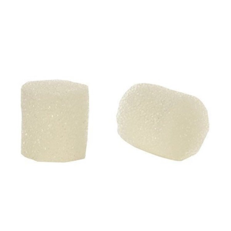 Flaem Filtri Porex Aerosol Ricambio 2 Pezzi