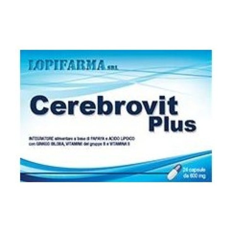So.Se.Pharm Cerebrovit Plus Integratore Alimentare per Memoria e Funzioni Cognitive 24 Capsule So.Se.Pharm Cerebrovit Plus Integratore Alimentare per Memoria e Funzioni Cognitive 24 Capsule