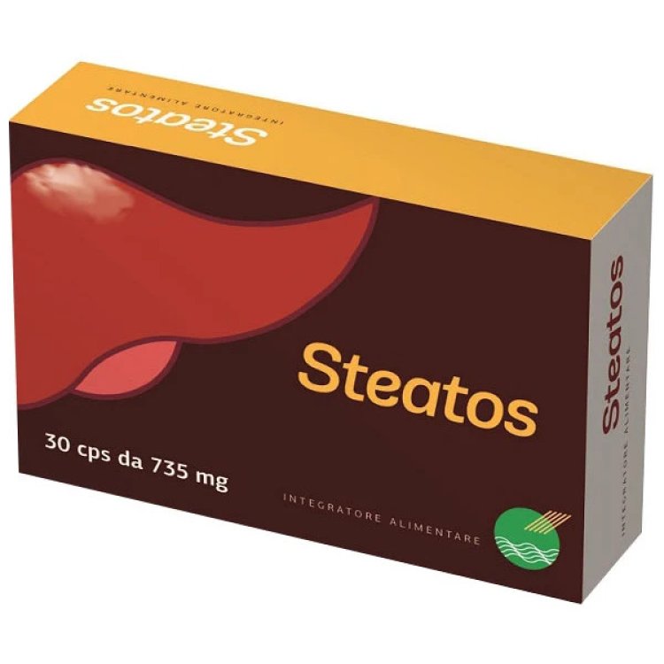 Officine Naturali Steatos Integratore per Fegato e Vie Biliari 30 Capsule Officine Naturali Steatos Integratore per Fegato e Vie Biliari 30 Capsule