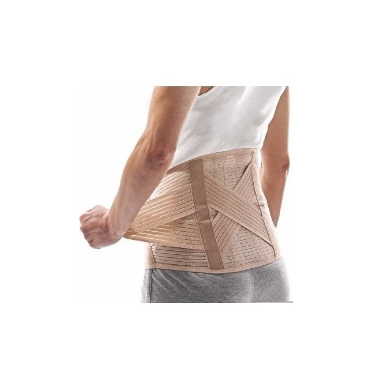 Djo Italia Conforstrap Corsetto Lombare Donna H26 cm L
