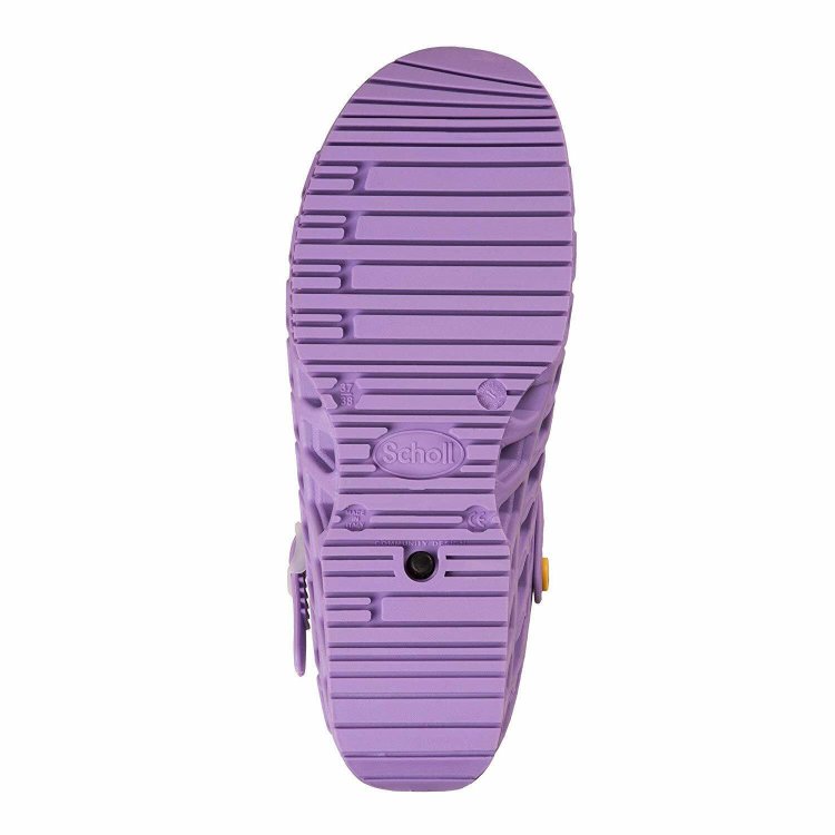 Scholl Clog Evo Zoccoli Professionali Unisex Lilla Memory Cushion Taglia 40-41 Scholl Clog Evo Zoccoli Professionali Unisex Lilla Memory Cushion Taglia 40-41