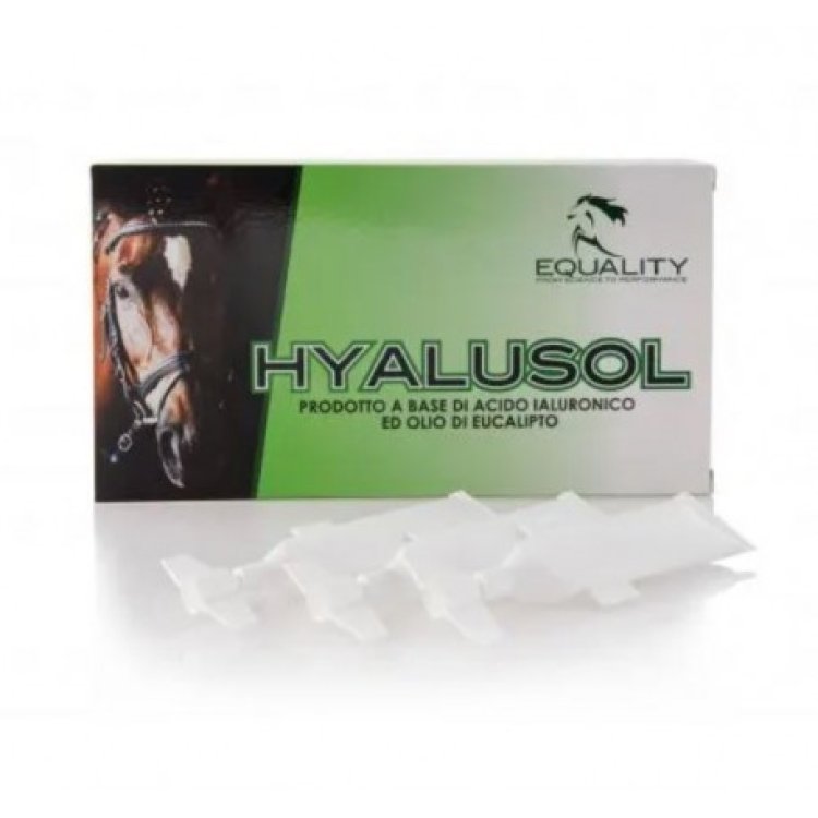 Equality Srl Hyalusol Aerosol Ambientale per Equini con Acido Ialuronico 10 Flaconcini