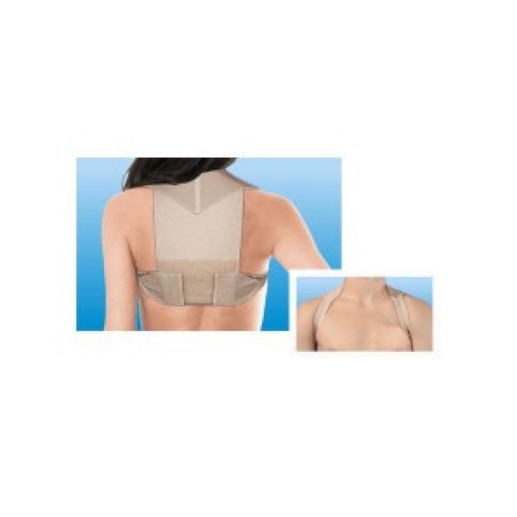 Budetta Farma Raddrizzaspalle Cliaortho Taglia L per Corretta Postura Budetta Farma Raddrizzaspalle Cliaortho Taglia L per Corretta Postura