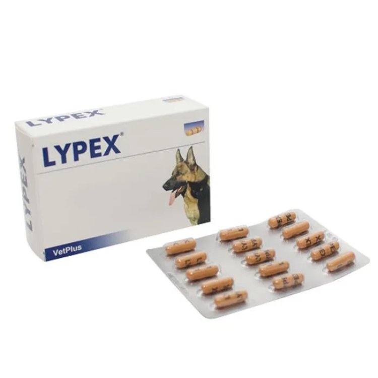 Vetplus Lypex Integratore Alimentare per Animali Supporto Digestivo, 60 Capsule