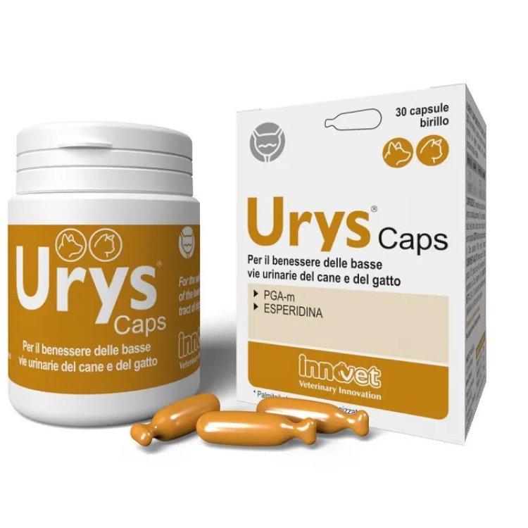 Innovet Urys Caps Integratore Benessere Vie Urinarie Cani e Gatti 30 Capsule