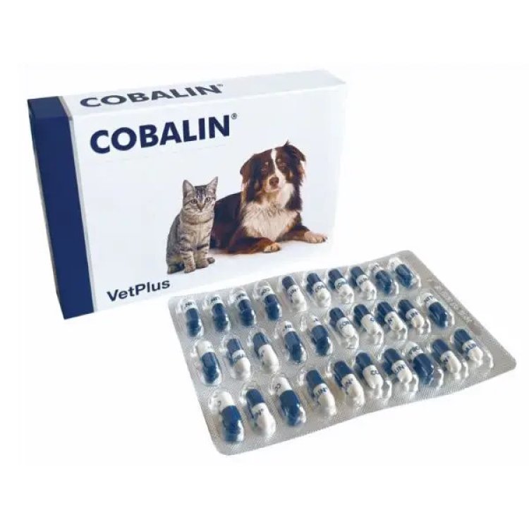 Vetplus Cobalin Integratore per Cani e Gatti Supporto Vitamine B12 e B9 60 Capsule