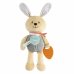 Chicco Coniglietto Coccolone Peluche Massaggiagengive