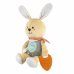Chicco Coniglietto Coccolone Peluche Massaggiagengive