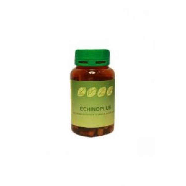 Spazio Verde Italia Echinulase Integratore Difese Immunitarie 60 Capsule Spazio Verde Italia Echinulase Integratore Difese Immunitarie 60 Capsule