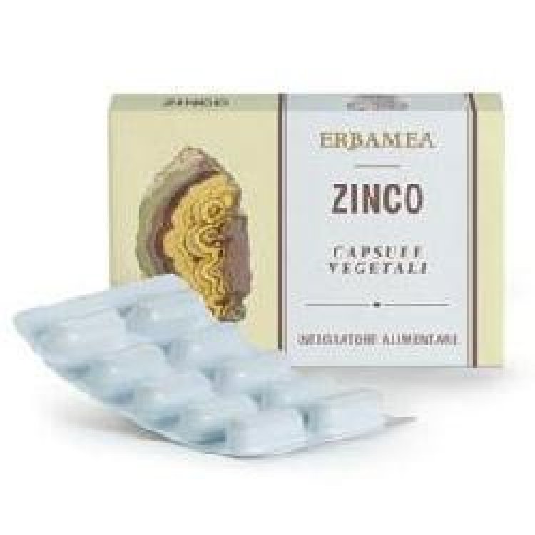 ZINCO 24 Capsule Veg.EBM