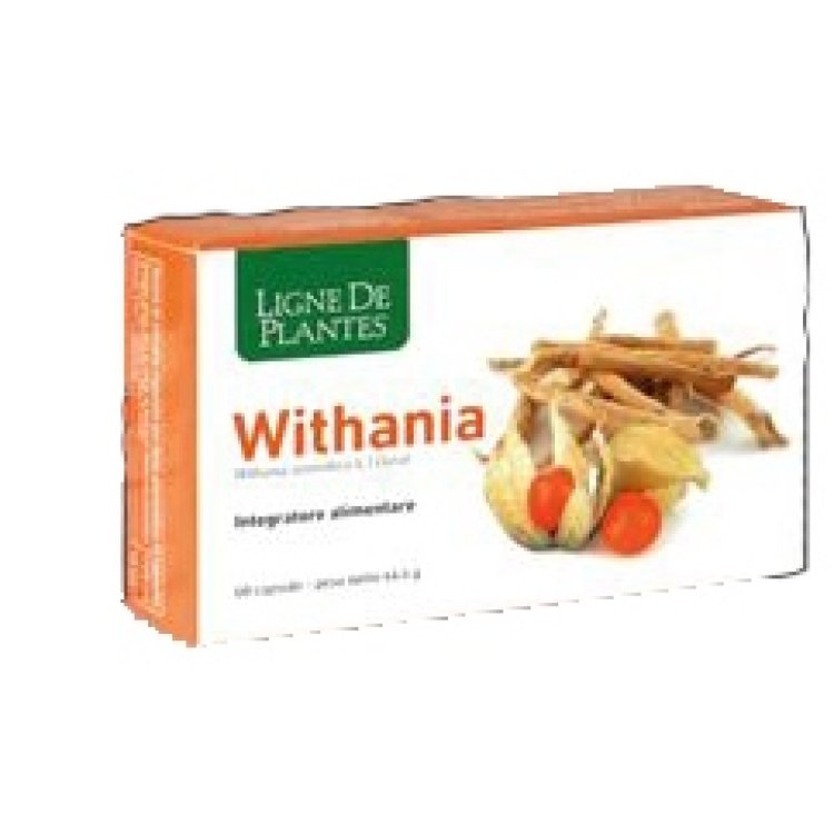 WITHANIA 60 Capsule NSE