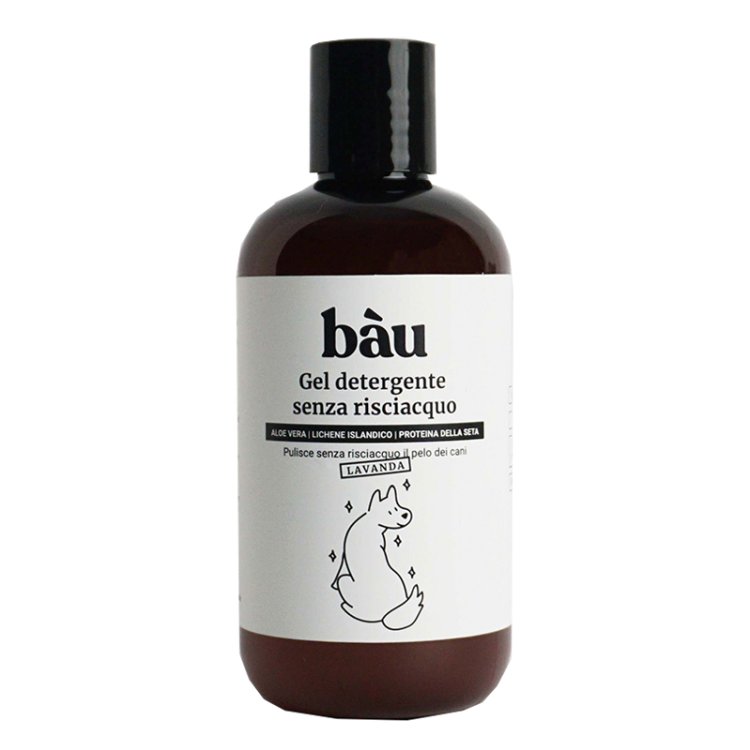 BAU GEL DET.S/RISCIAQUO LAV.250ML