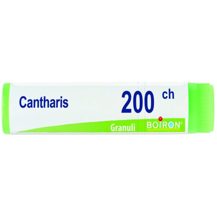 BO.CANTHARIS Dose  200CH