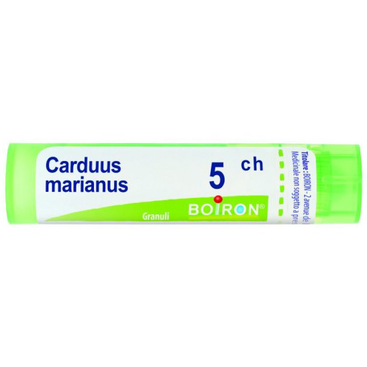 BO.CARDUUS MAR.Tubo  5CH