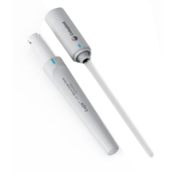 LUJA Cat.Donna CH10 30pz