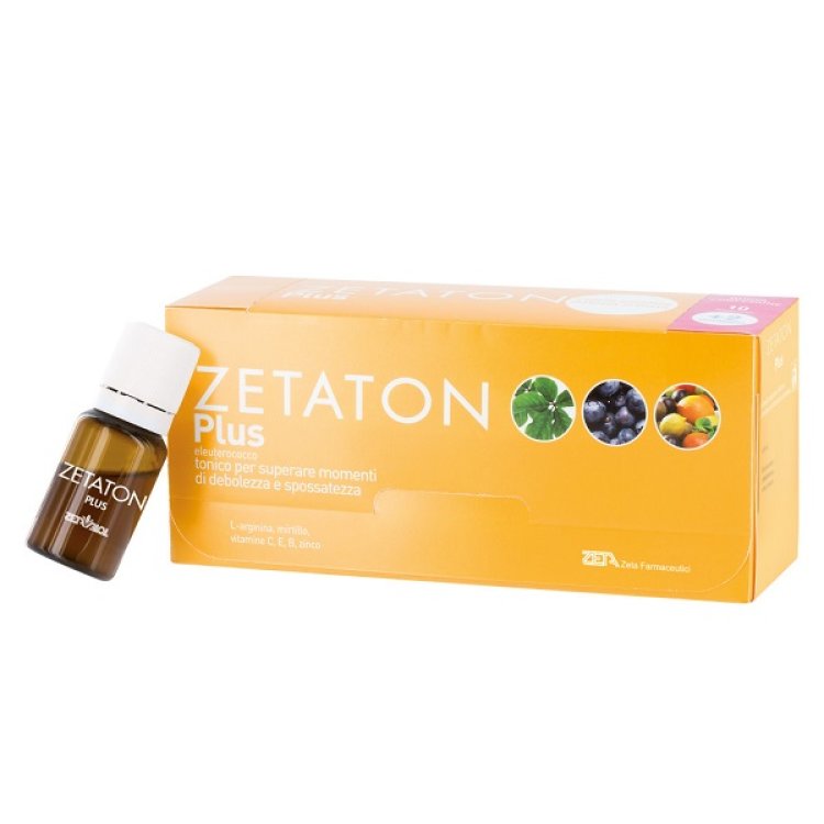 ZETATON*PLUS 12fl.10ml