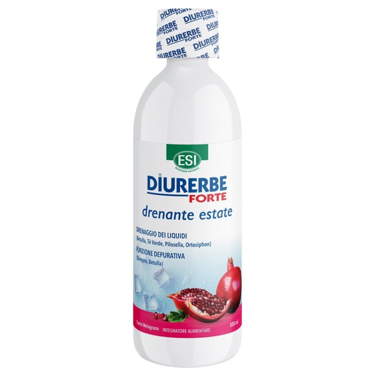 DIURERBE Fte Melogr.Bipacco DIURERBE Fte Melogr.Bipacco