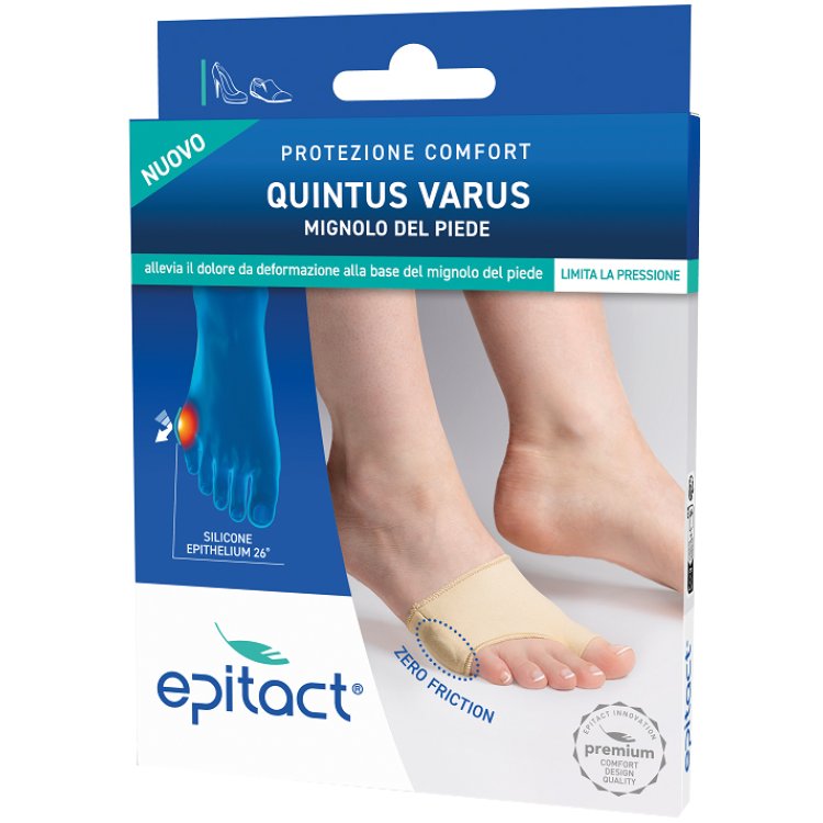 EPITACT Prot.Quintus Varus L