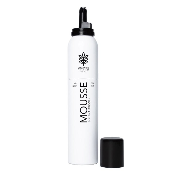ORG PH Hair Mousse Ristrutt.